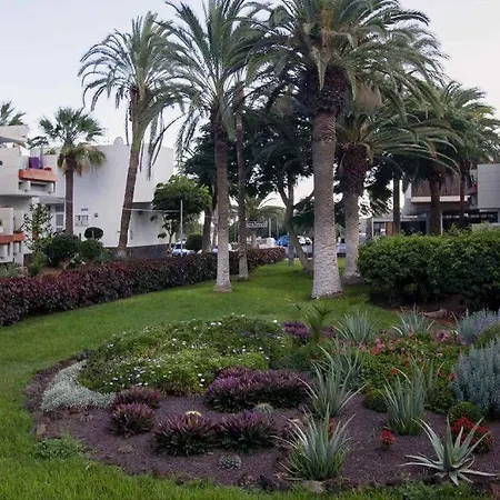 Tenerife Primavera Arona  Exterior photo