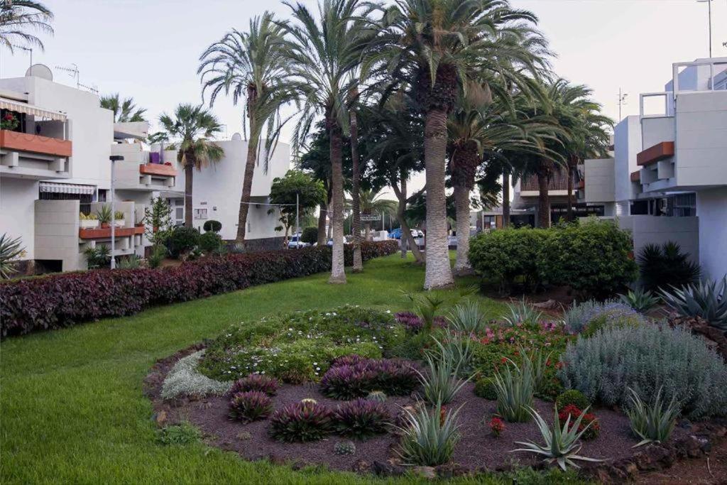 Tenerife Primavera Dom wakacyjny Arona (Tenerife)